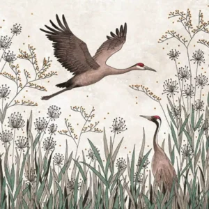 Carte grues – Titi Pinson