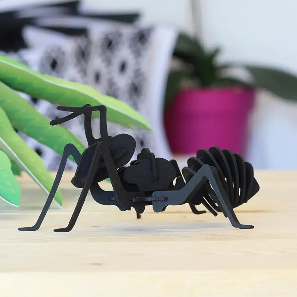 Fourmi en carton noir – Agent Paper – Image 2