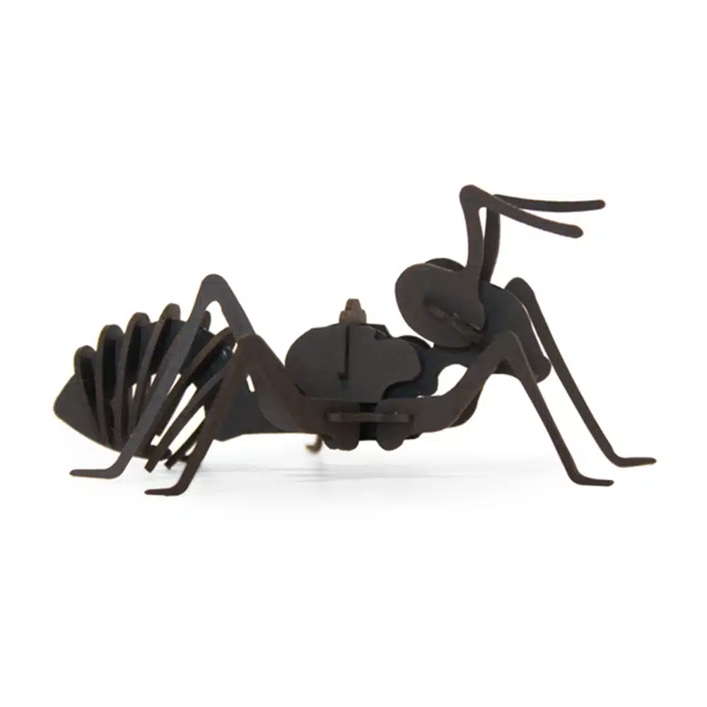 Fourmi en carton noir – Agent Paper