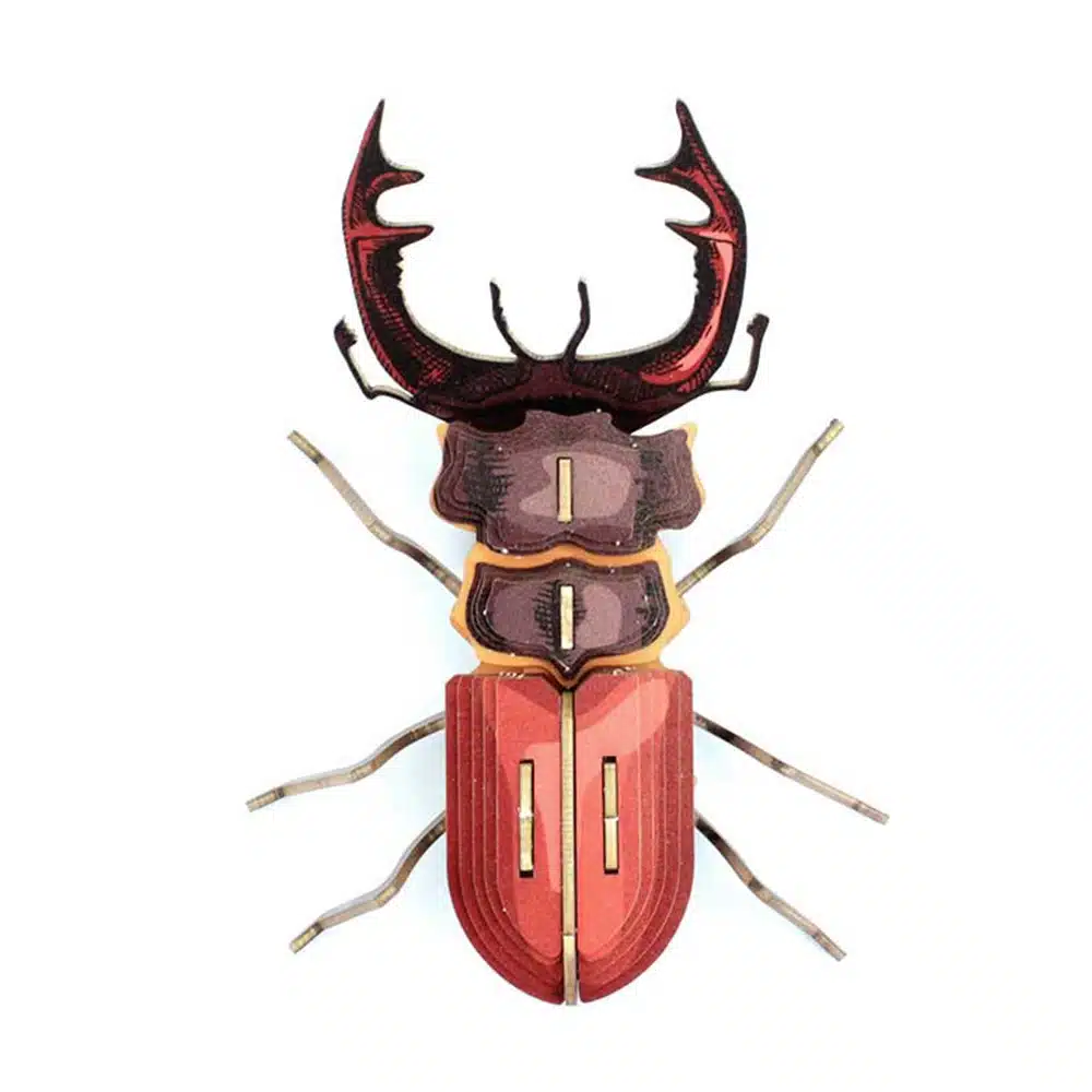 Mordicus en carton – Agent Paper