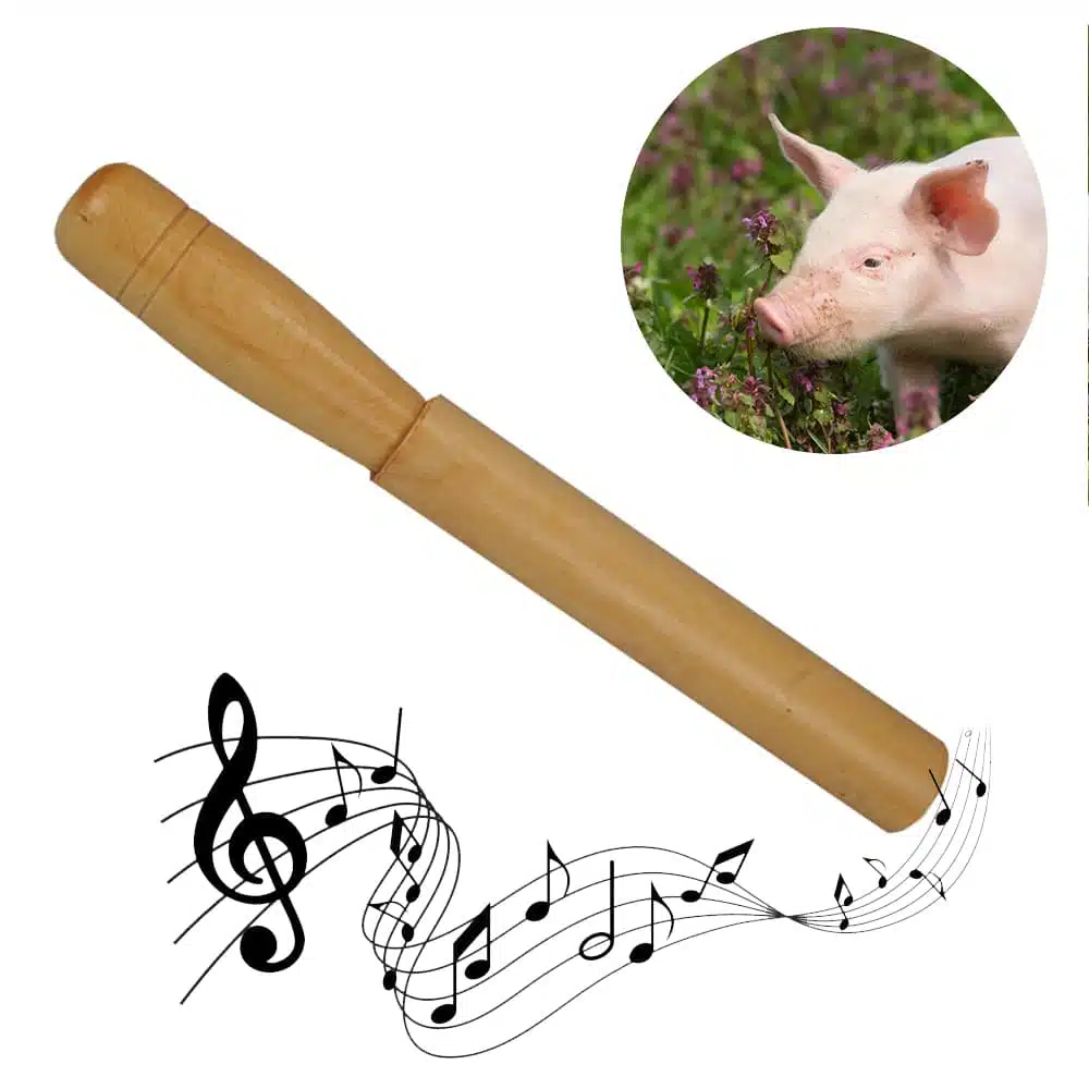 Appeau Cochon – Les Zapos