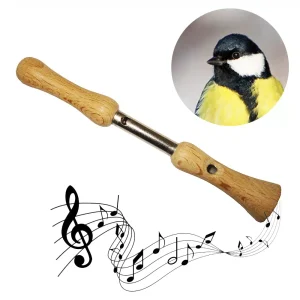 Appeau Mésange charbonnière – Les Zapos