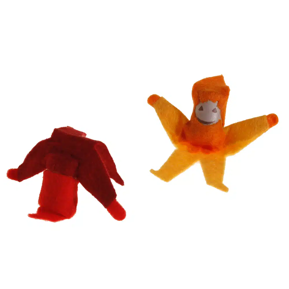 Culbutin – Kraul – Image 3