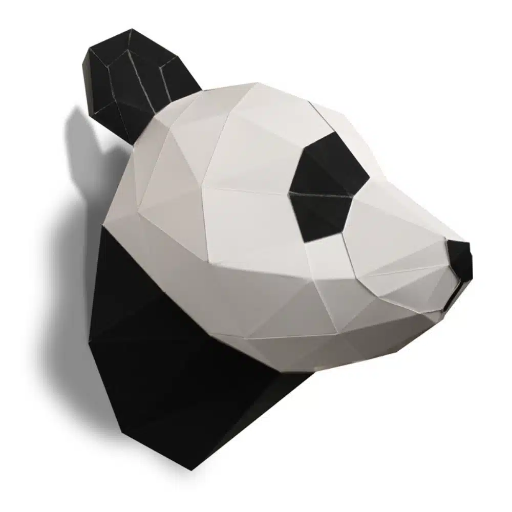 Panda noir – Agent Paper – Image 2